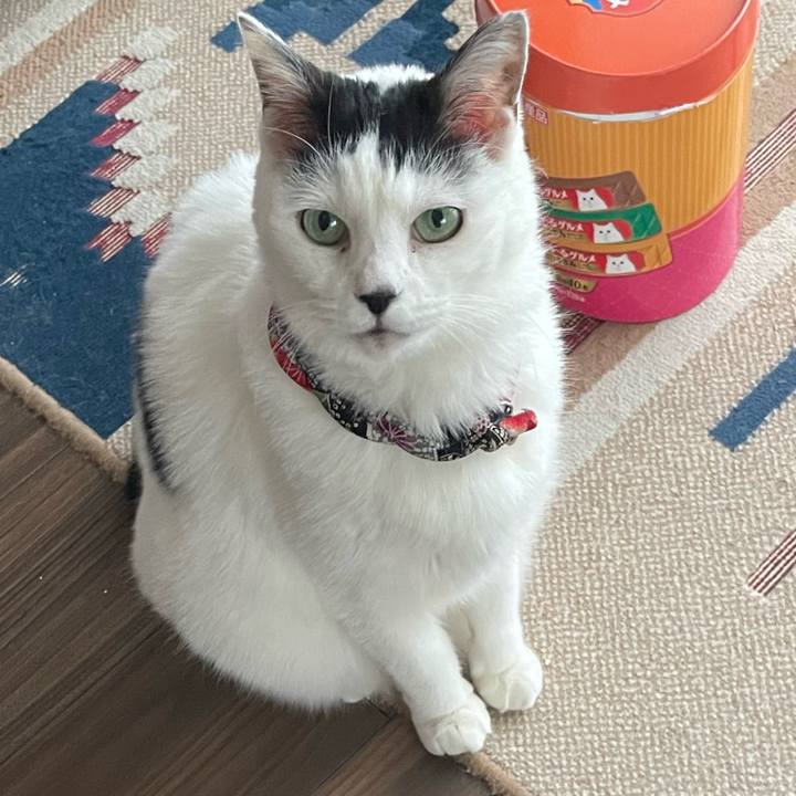 37503ac2 d741 44be ab56 68cf5a7319bf 1741217793016