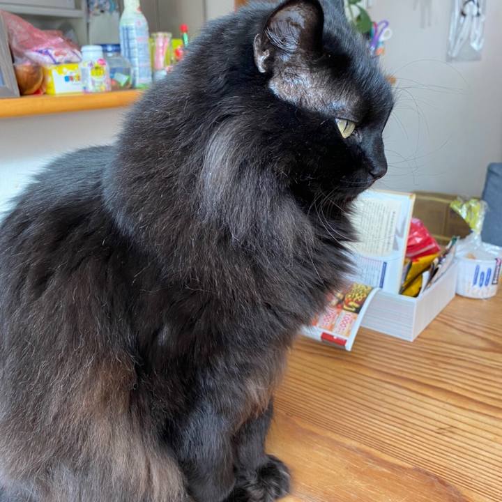 37507d2b c69d 4567 91a3 1bf8bbb384e3 1580664586403