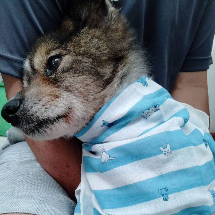 3750ad92 421b 47fb 825e 5e56bf260dfa 1633598718466