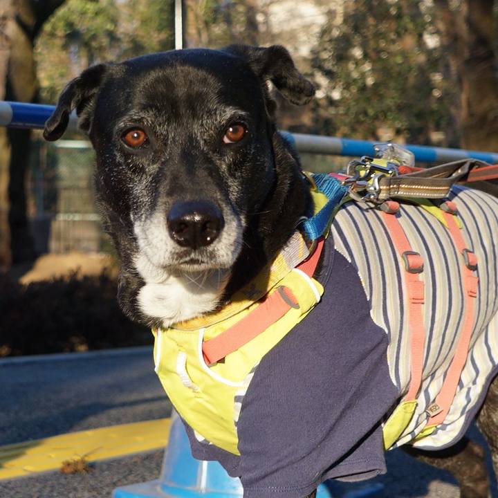 3750bffa 8c4e 41bc a589 db33c54f2944 1769127720663