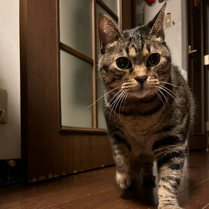 3751351a 2fa7 41fe 8ea1 9ec25bfdc909 1689423270580