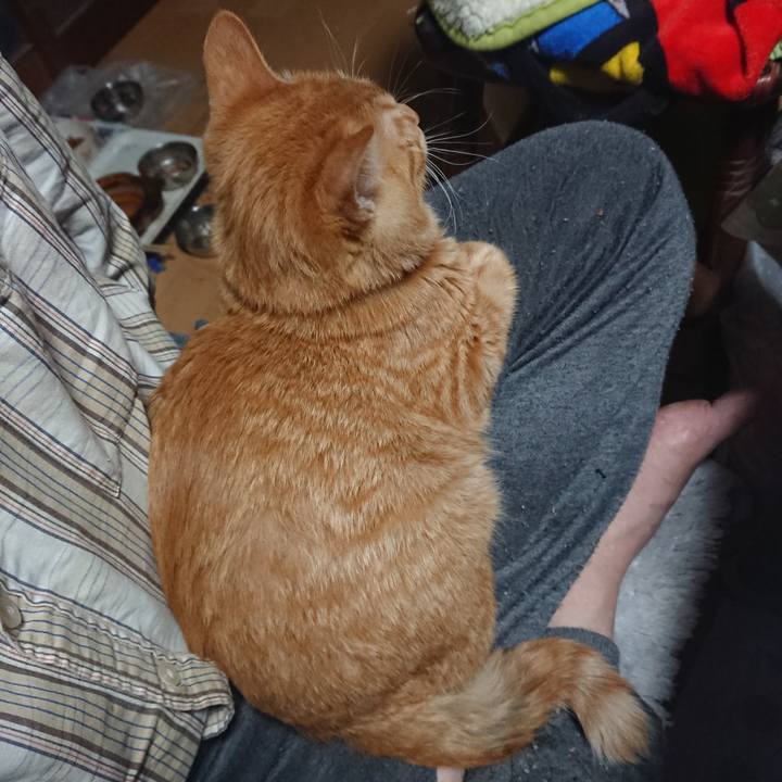 37513e13 ff72 4730 8d42 c30fae58ee42 1636234771624