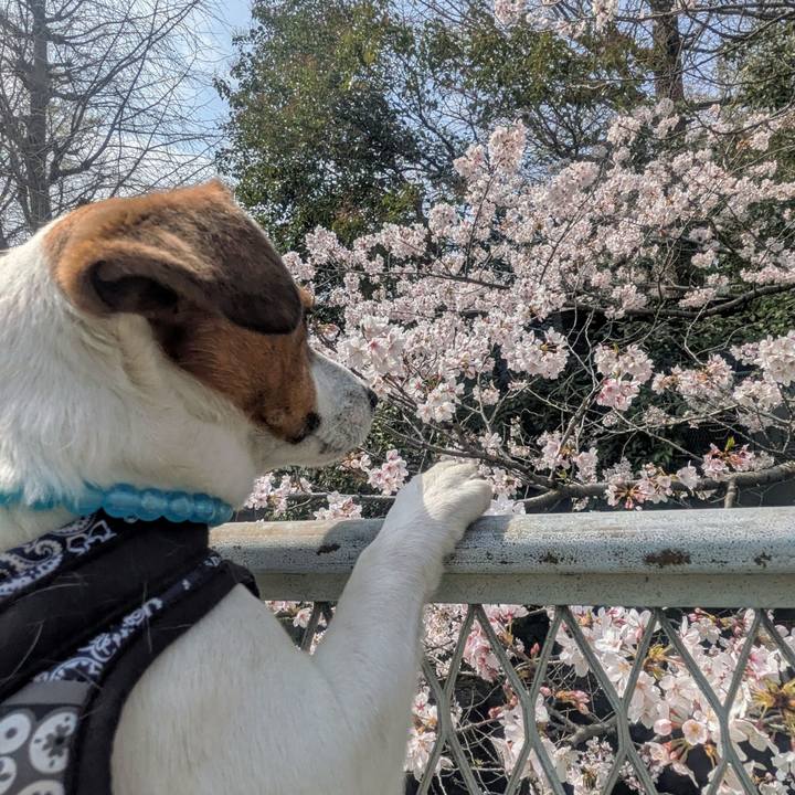 37514742 e4d7 4709 ae25 fba22b738146 1774856862608