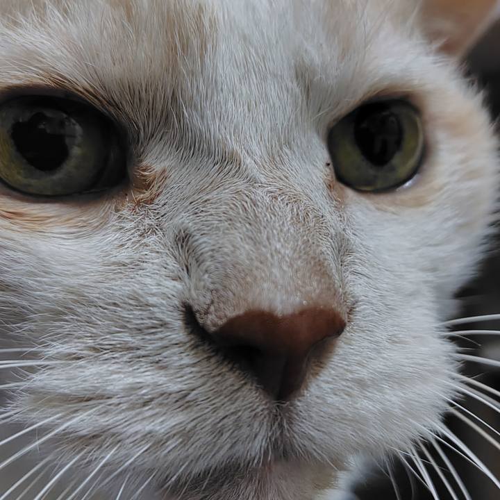 37514deb cf08 4f1a ae7f 95ef2f552f20 1772197147367