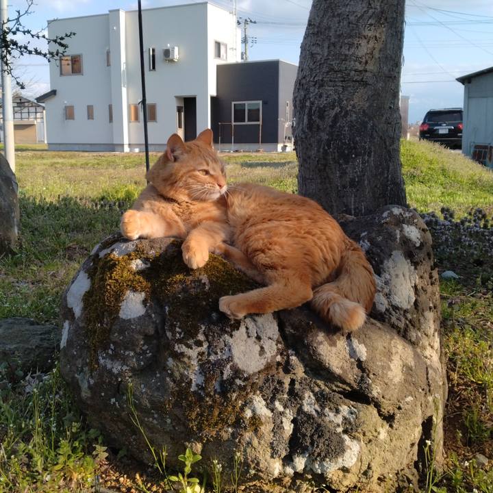 3751813c 731e 4b77 838d 91628111a189 1712908173019