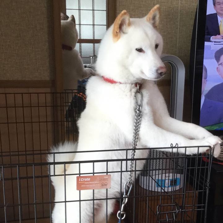 3751898e b0bc 4739 b6ad 73107ec20a57 1532763085731