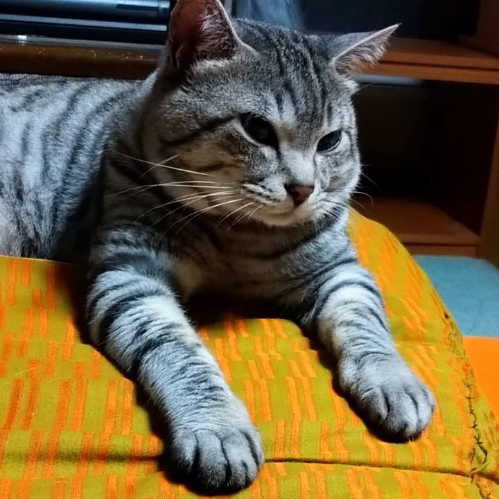 37519545 67bd 4ad3 b5c1 79b37130e46e 1690035332258