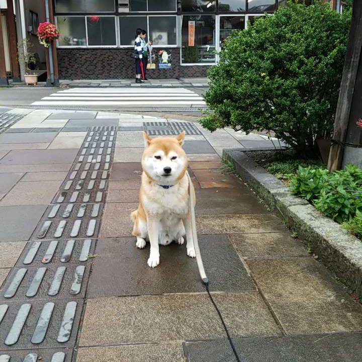 3751b8d4 0da0 44ec 9f4d a652164858be 1537851829244