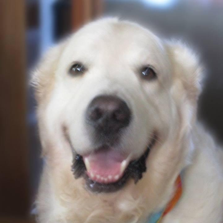 3751bb80 45b2 4767 ab8a badac4b1634f 1599489111751