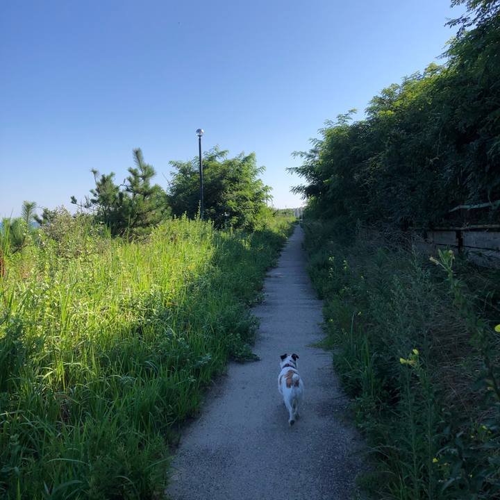 3751c16a 072e 436a 99b0 503bba0abc04 1597877244018