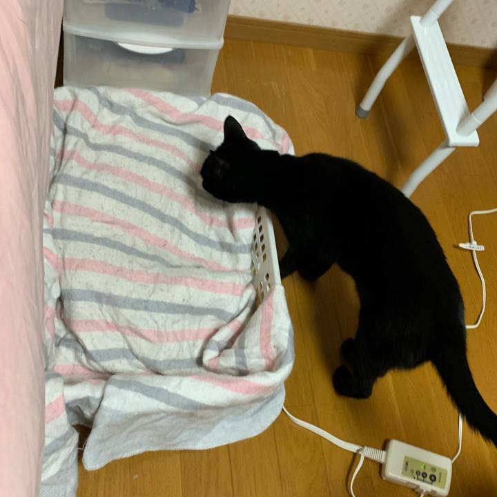 3751e019 e573 47f6 a458 afe3d610532b 1589022680495