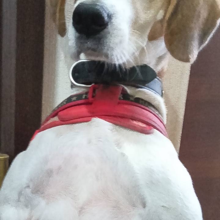 3751f559 89b9 4940 9d55 57e8e881cb0a 1730183769750