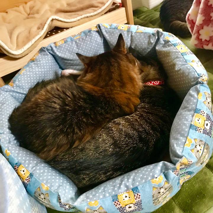 3751f756 0ffa 4adf 853b 74d112678c97 1514596885370