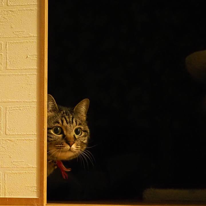 3752262b b70b 4c33 b095 4ae47c8b1780 1619184697498