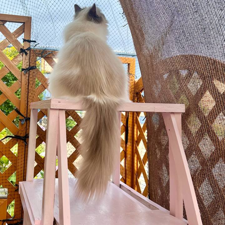 37522f02 c51e 4ee8 a4d3 ad78539119f2 1720598584560