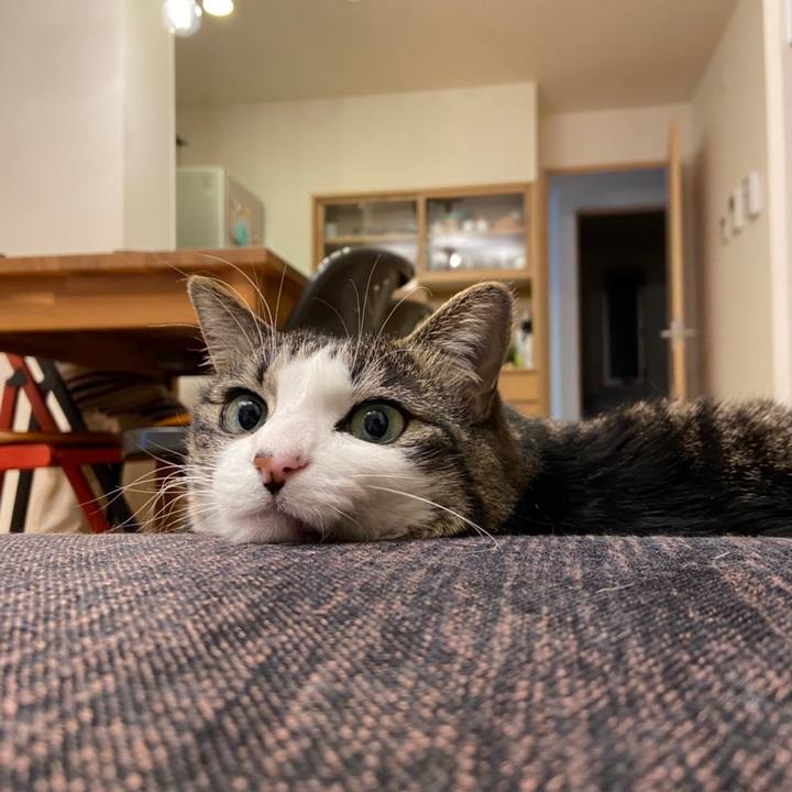 3752497b cfe8 4fdc b648 3fc6940c1012 1614950367166