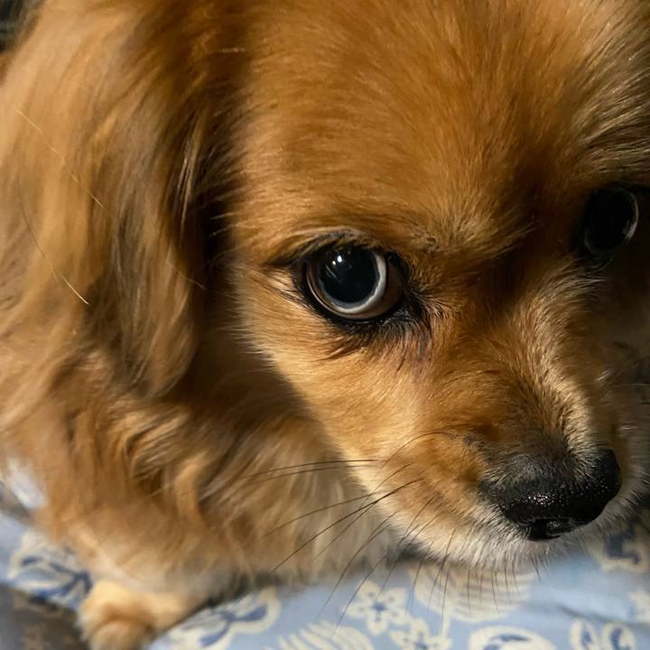 37526e99 58b5 4813 9043 9f29f3e41175 1611351616956