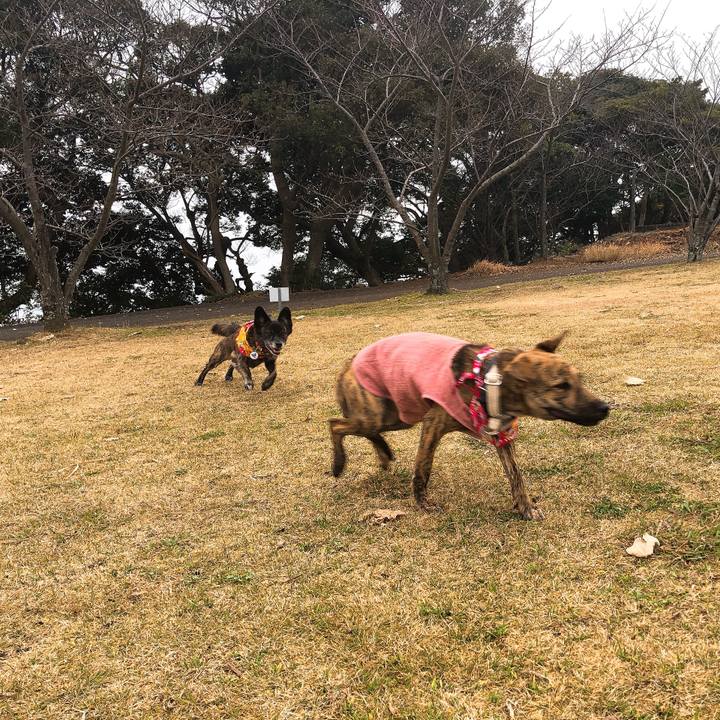 375280af 3b32 4cac a839 afa80aa23713 1577234007671