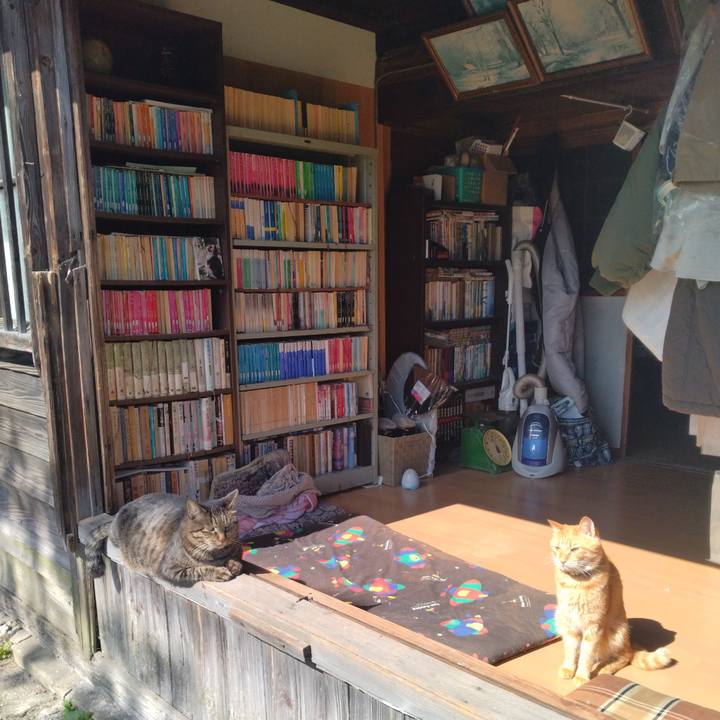 3752860c 673f 449f 9366 428bc2daa53c 1666059816803