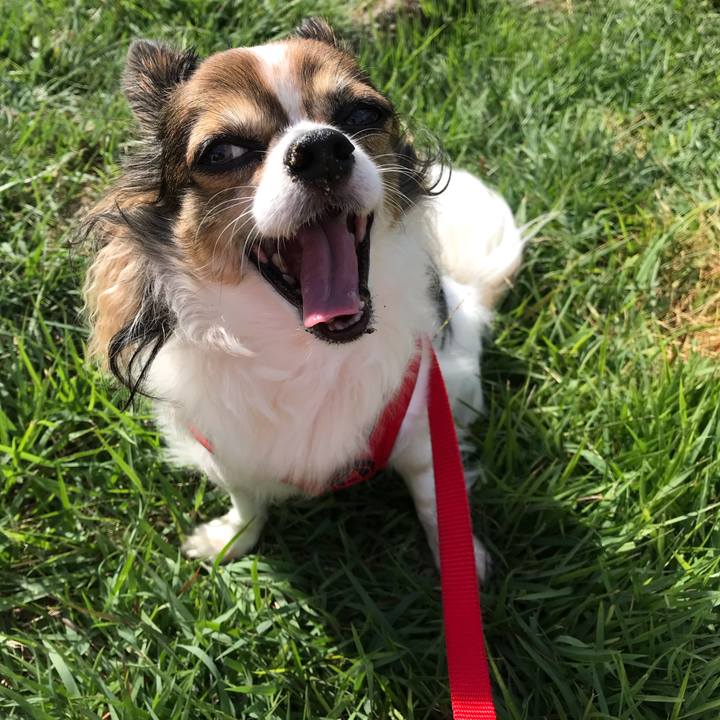 3752ebdc aedd 400b 8287 b413ad563508 1570411655927