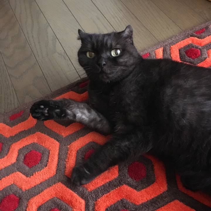 3752f034 15df 41c6 a18a b2e468b344f9 1538693936719