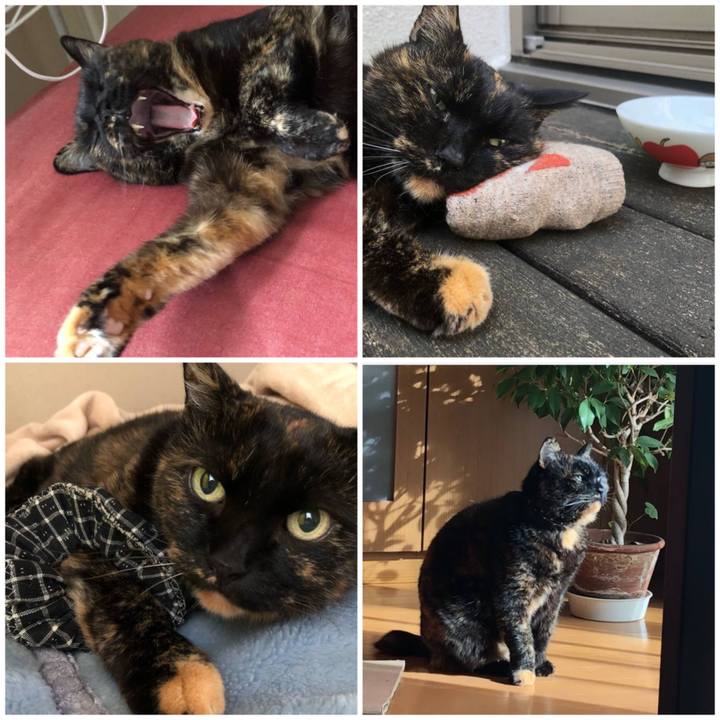 3752fd11 4e92 4655 8c2a a136dde43409 1581589891313