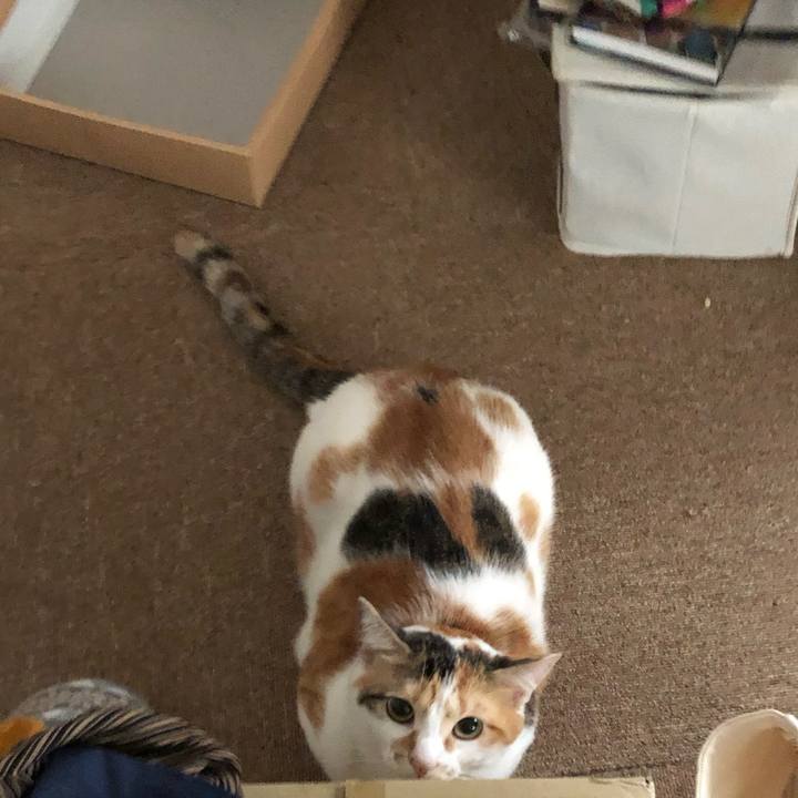 37531c63 dba5 49fe a6d4 1c808648ac0d 1594956543363