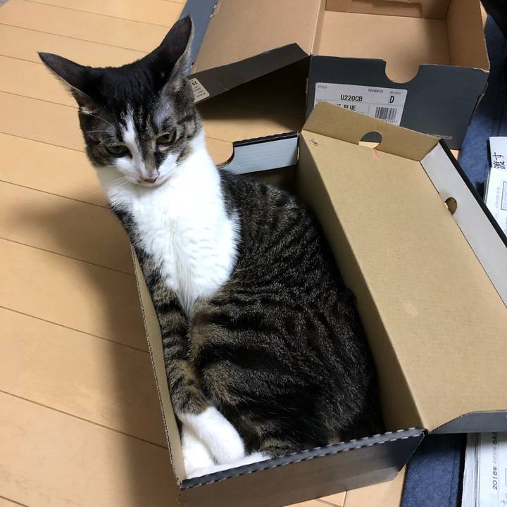 37532f55 5b77 4180 b07c 97d496b64ab0 1535893379698