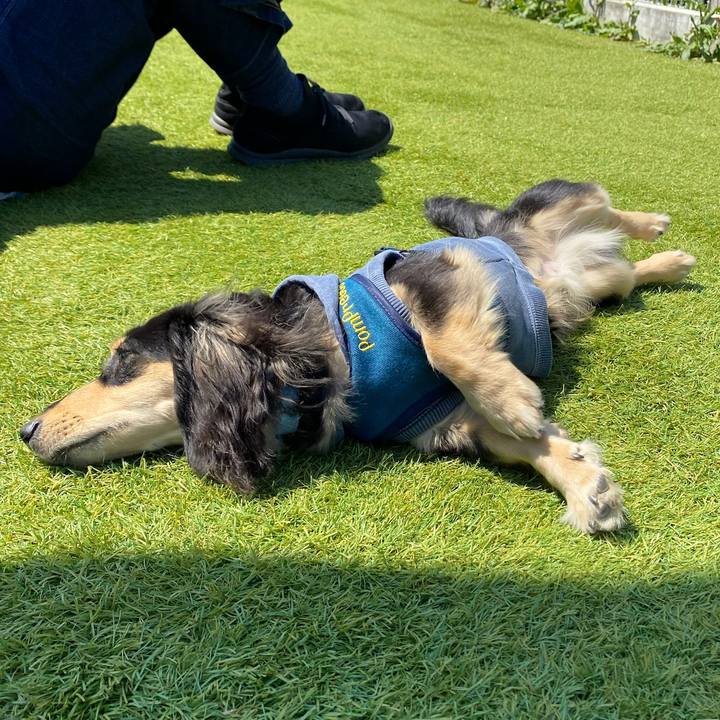 375359ff 7910 4657 ac55 4f1dc595200d 1681096418409