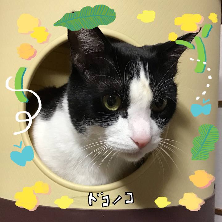 37537f89 7955 4874 a66e 96c50056e742 1744548814559