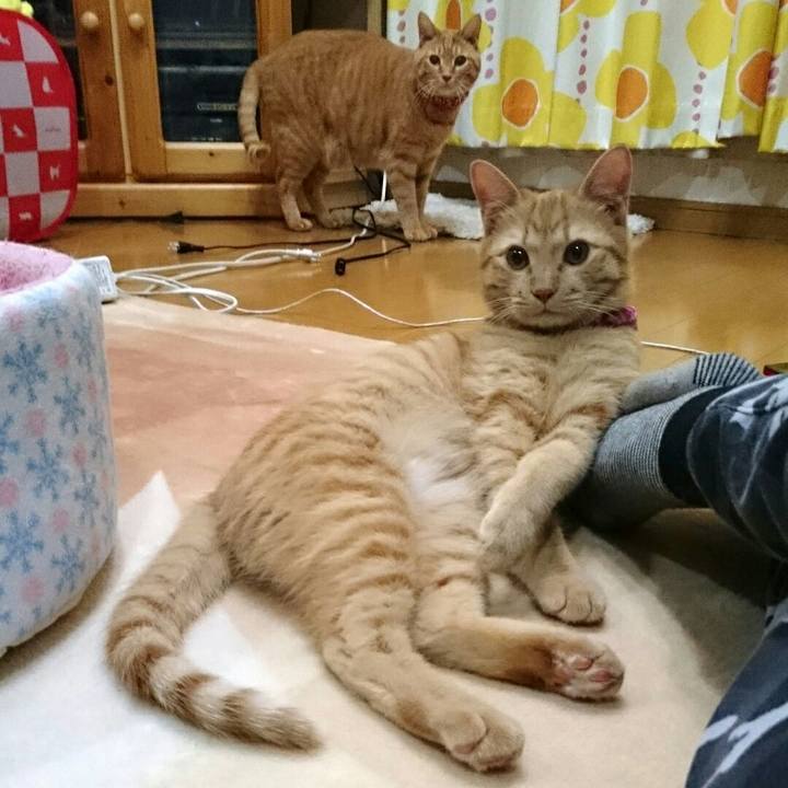 375393eb 2f84 4311 9be5 5a52162b062f 1549072559777