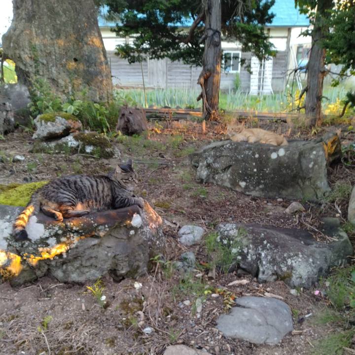 3753baff 6406 4724 9d1f efd0a1cd1922 1692781720104