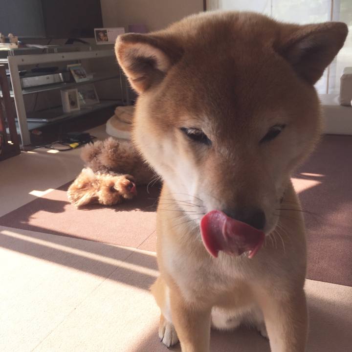 37542ed6 63b3 40f9 8f2d 85a6a0ae4e68 1524100286206