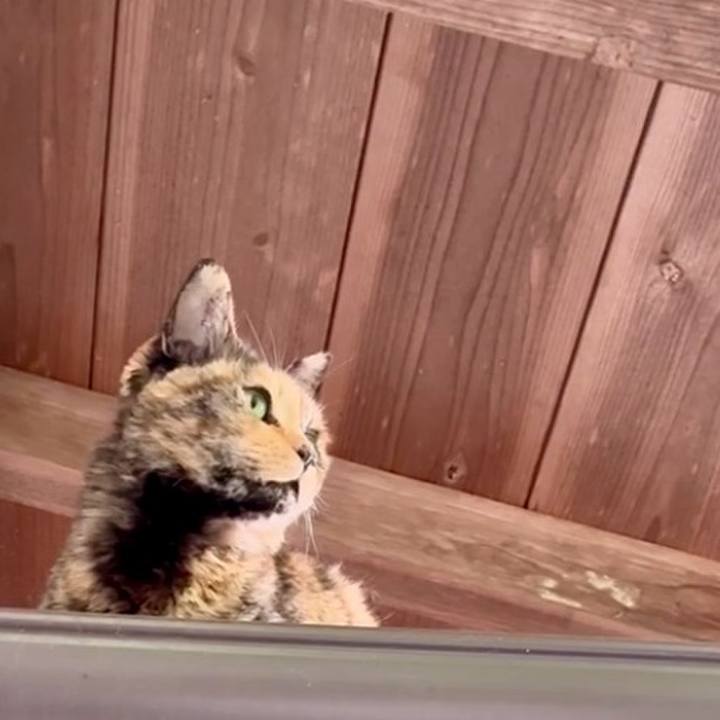 375475d1 829a 46a7 8494 35cbf6d8e1b9 1745497436327