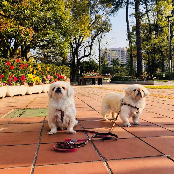 37549884 588c 482d b239 b4bd1ff4f872 1586479817168