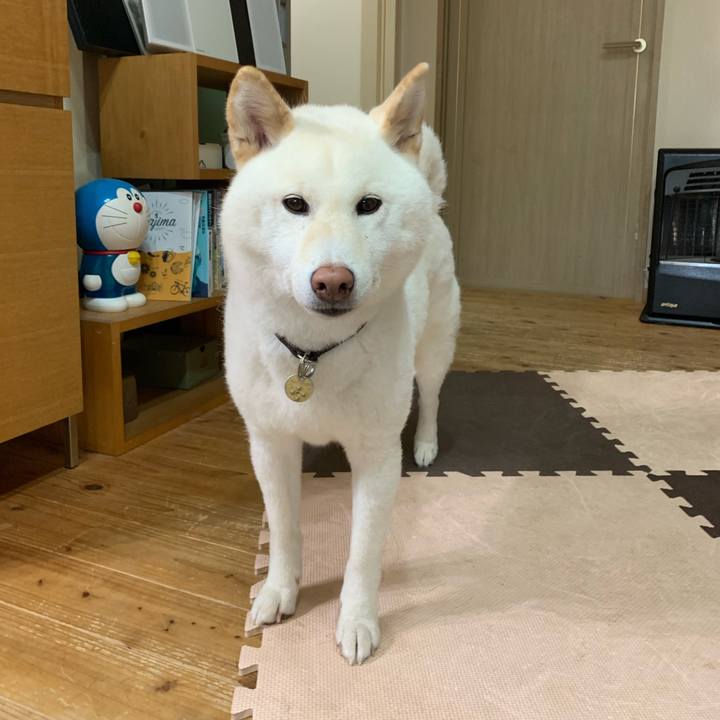 37549c6e 3c13 4c98 b102 5ddfaacd4241 1593212146857