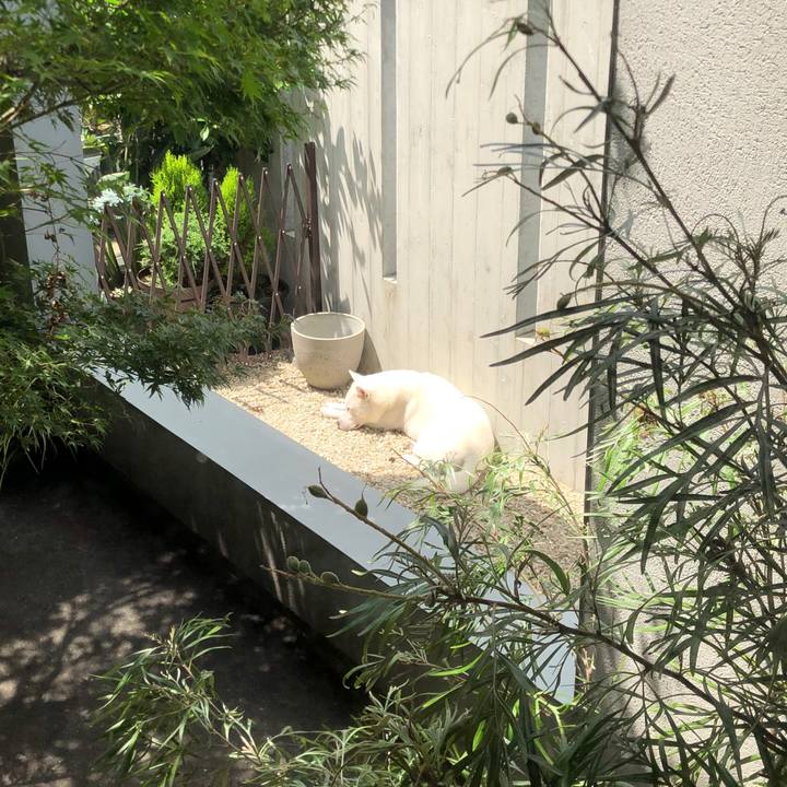 3754a4d0 d2a8 4925 a77a a1cca17c0732 1594956972658