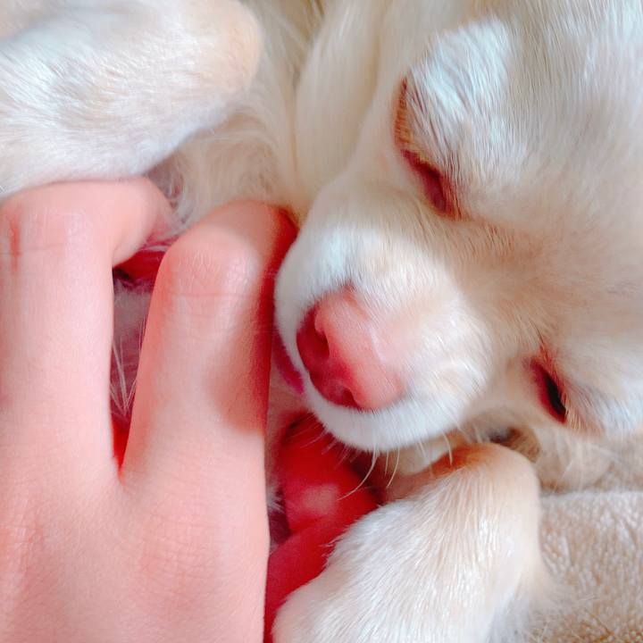 3754bd51 1ea2 42da 9526 b3f54831405d 1619854802422