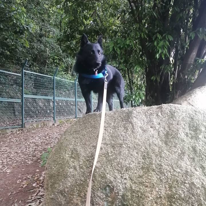 3754cca8 a59f 4778 8282 5b9faed307ca 1619213525943