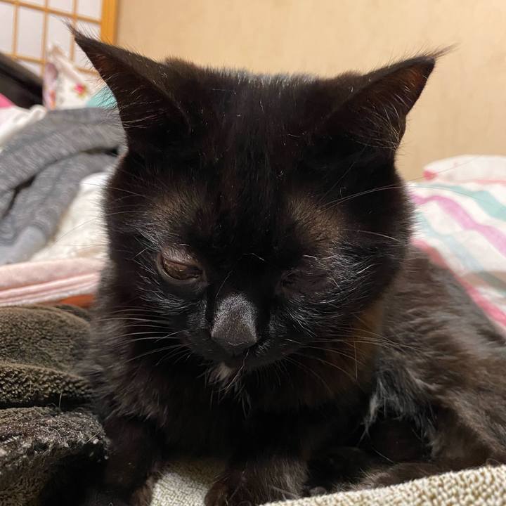 3754de3c 5455 45db 82df e0d1e4267ca4 1585830196797