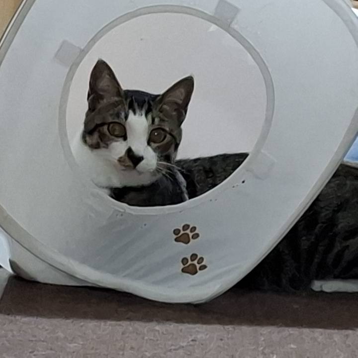 3754e4f3 7c2b 4068 bc1d 5435f99f24a7 1756596972304