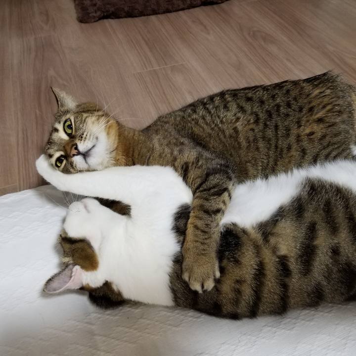 3755001c a1f8 4b80 9cde 87e00521ec0c 1612470132860