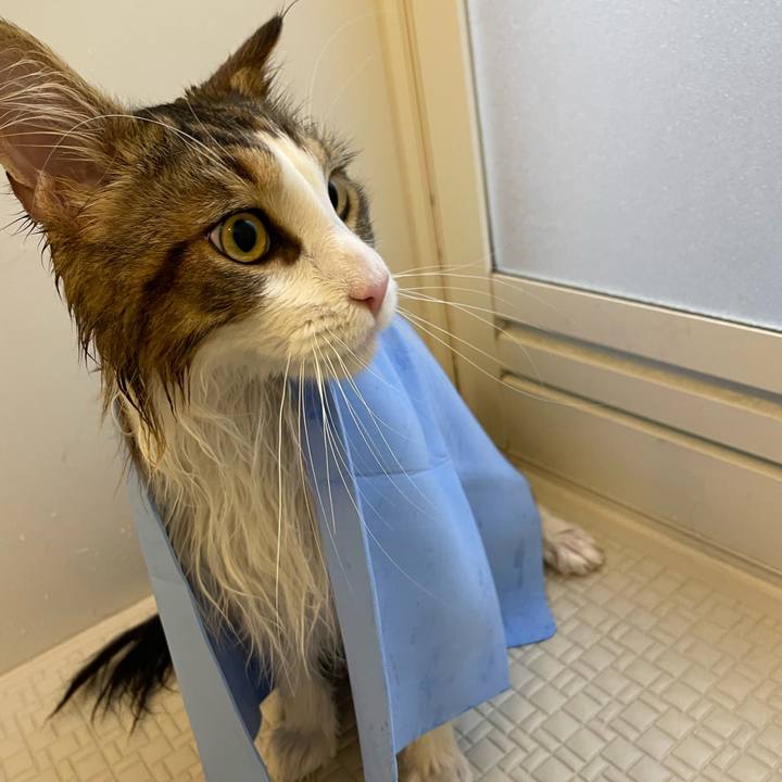 37550135 36d4 473f 9dc9 20f970ff4d6b 1655117732827