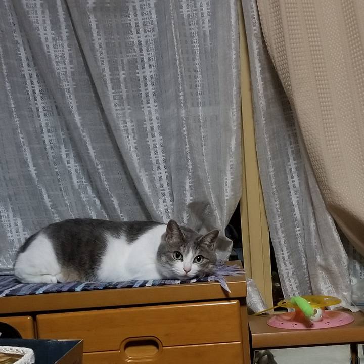 375530ee 1fa2 467c b9b6 e9973417fe34 1560604758466