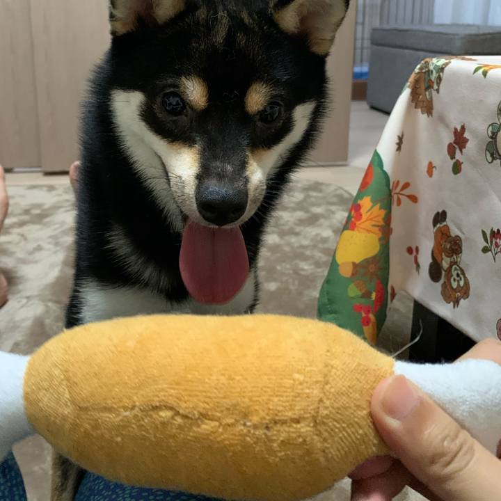 375532ed 9987 4631 86f0 17dc675ba7cd 1593085212127