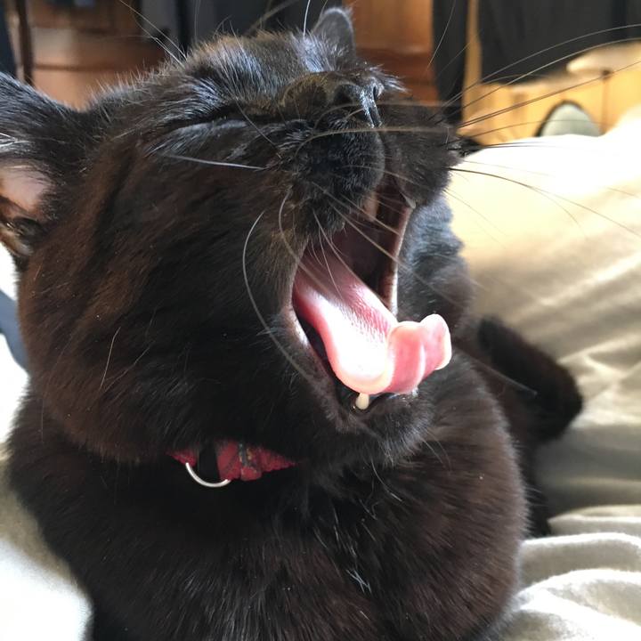 375552f7 3f83 4c96 966d 6795f2a6da5d 1512517075252