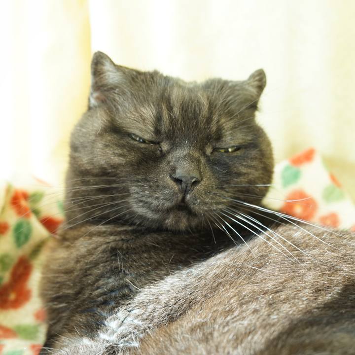 37555e87 1a8c 4f04 964b 8450a03311e2 1613986310704