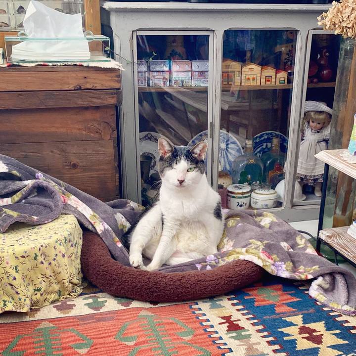 3755b9a8 0802 43d9 9a43 2d103bf35804 1603353680188