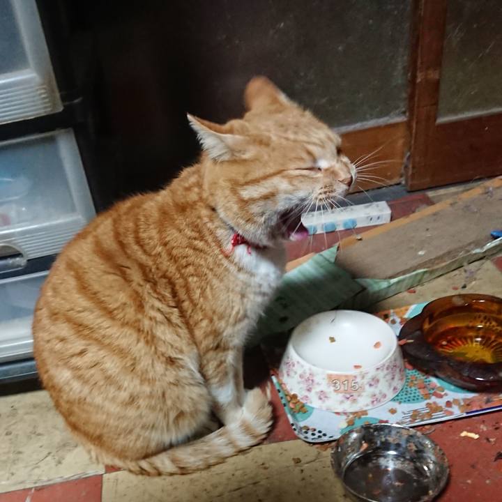 3755cfea 8af3 4f31 9efe a50afda93264 1579722518879