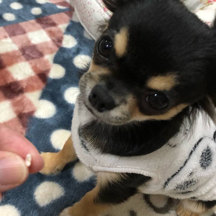 3755e25d 7389 4d3f 9c36 92b9f472210c 1543059456242